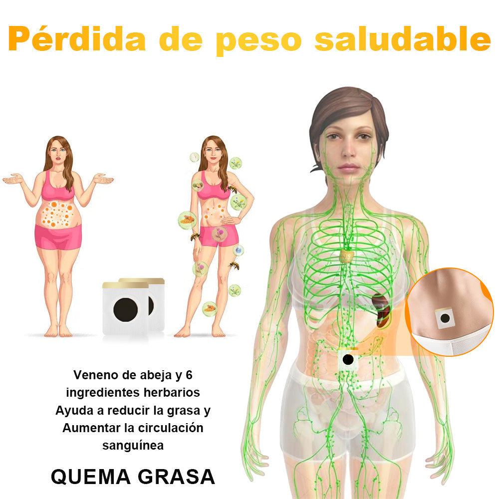 🐝 Limitado Tiempo 70% DE DESCUENTO 🐝- [Desarrollado en California, EE.UU.] 🔥❤️ Veneno Abeja Linfático Drenaje Adelgazantes Parches (Apto para uso por personas de todas las edades)